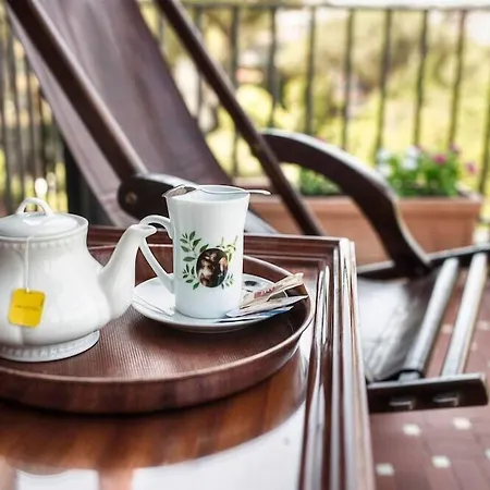 Grand Colony מלון